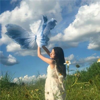 泰瑞·福克斯故事